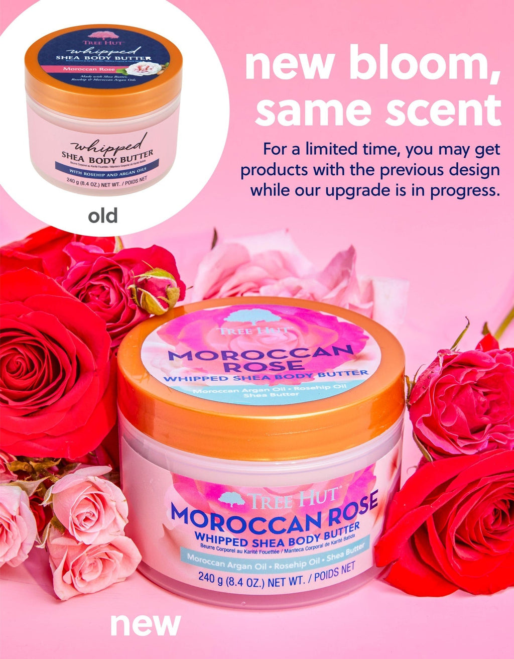 Tree Hut Moroccan Rose Whipped Shea Body Butter 240g